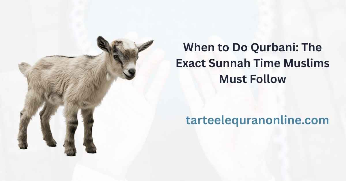 Read more about the article When to Do Qurbani: The Exact Sunnah Time Muslims Must Follow