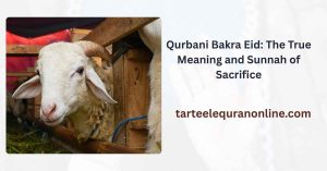 Qurbani Bakra Eid: The True Meaning and Sunnah of Sacrifice