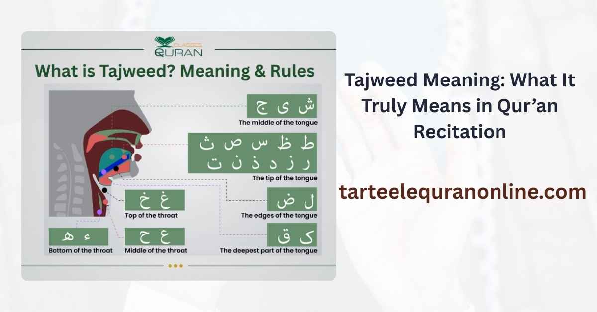Read more about the article Tajweed Meaning: What It Truly Means in Qur’an Recitation